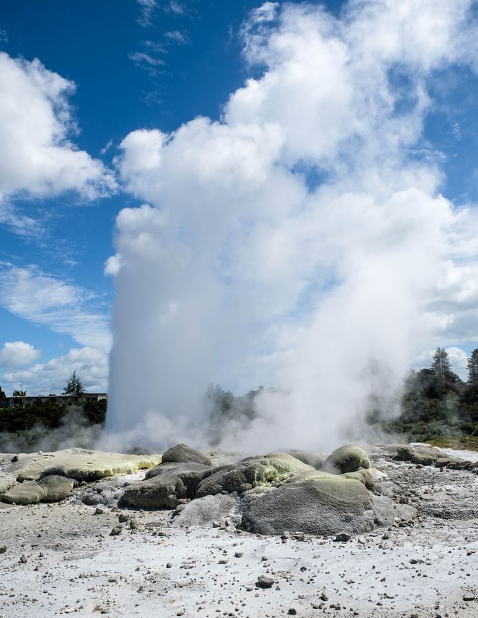 Pōhutu geyser erupting at Whakarewarewa, Rotorua